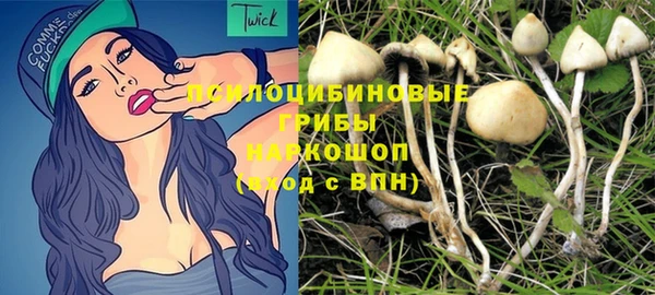 эйфоретик Пролетарск
