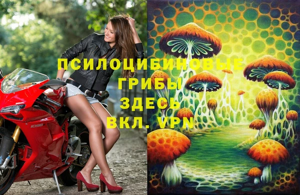 эйфоретик Пролетарск