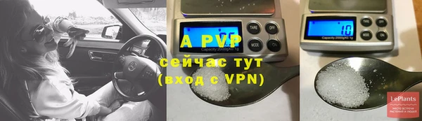 СК Протвино