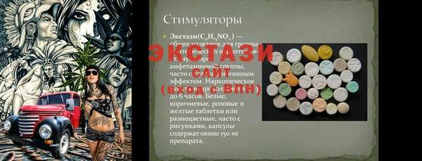 СК Протвино
