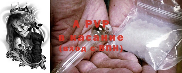 СК Протвино