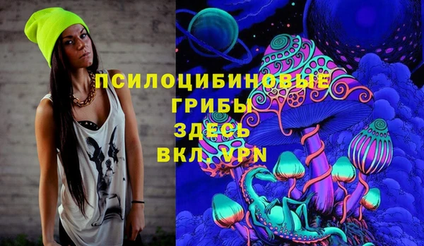 эйфоретик Пролетарск