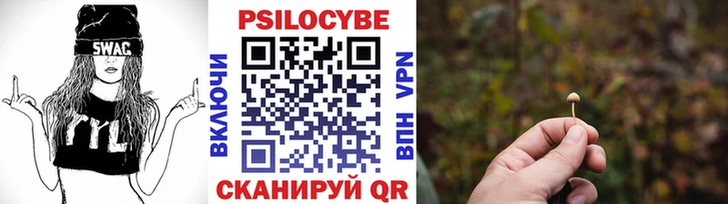 Купить закладки  Тайга  Галлюциногенные грибы мухоморы 